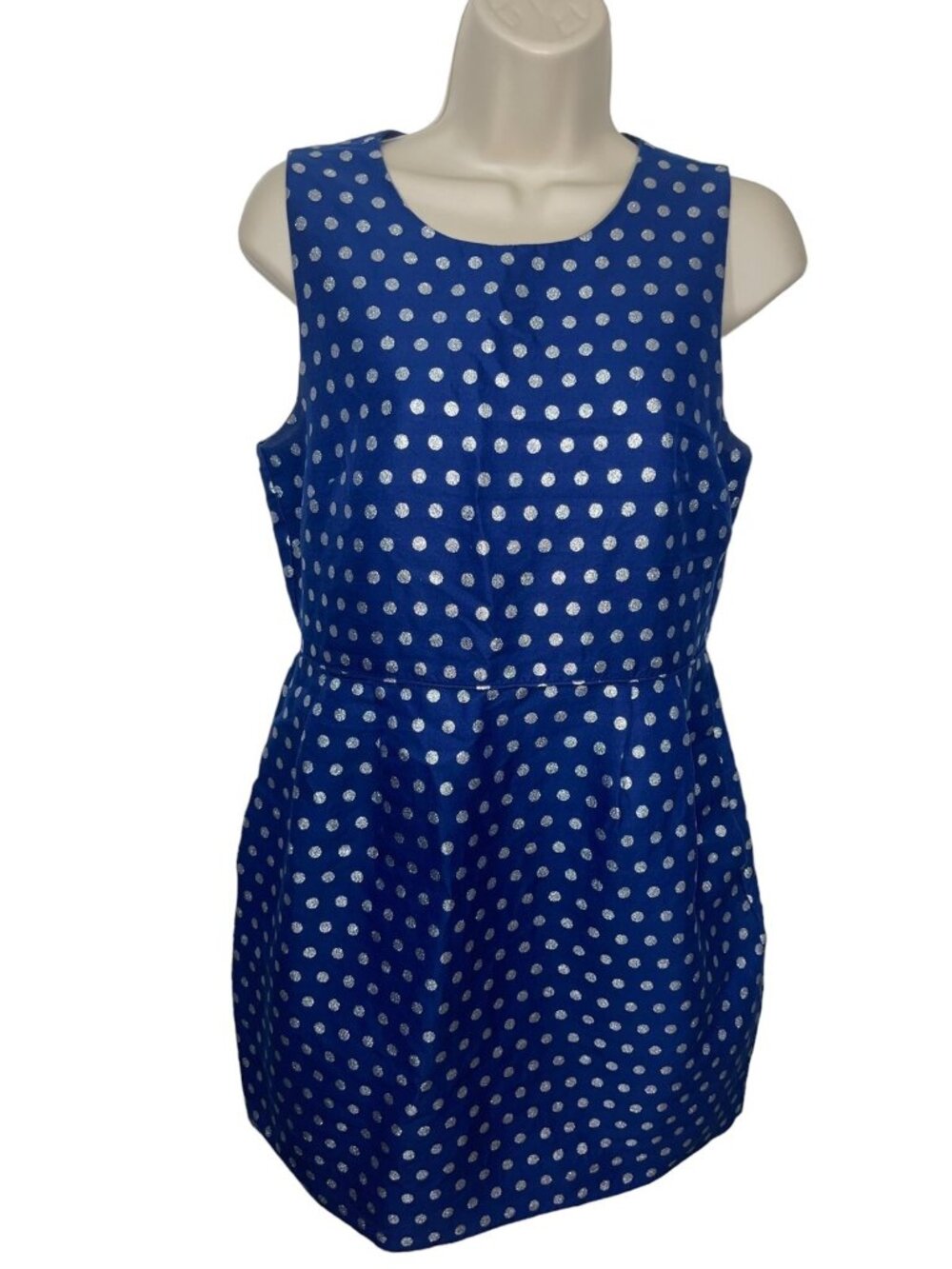 J CREW FACTORY Women's Size 6 Silk Blend Navy Dress Silver Glitter Polka Dots